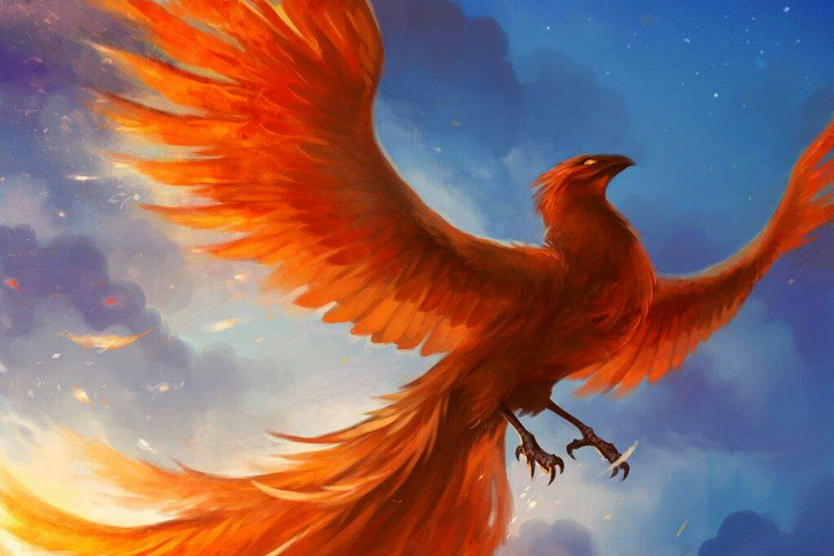 fenix